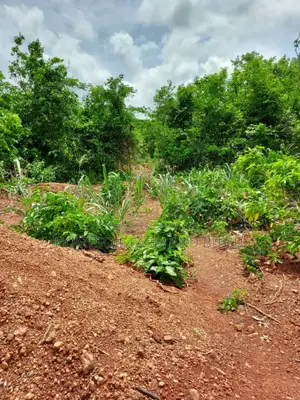 2 Acres Roadside (Main Highway) Residential/Commercial Land