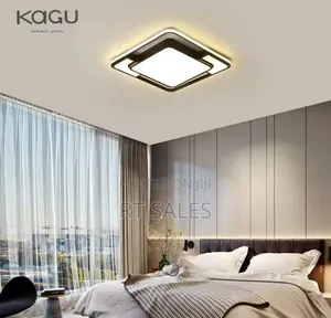 Brand New Luxurious Ceiling