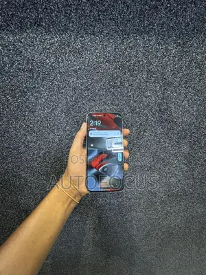 Google Pixel 9 Pro XL 256 GB Gray
