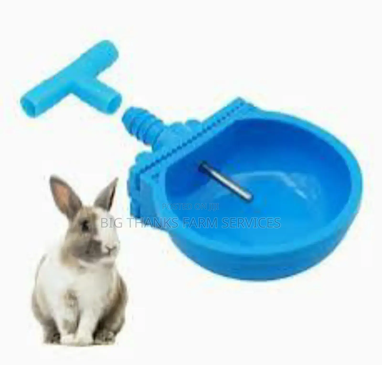 Rabbit Drinkers (Standard)
