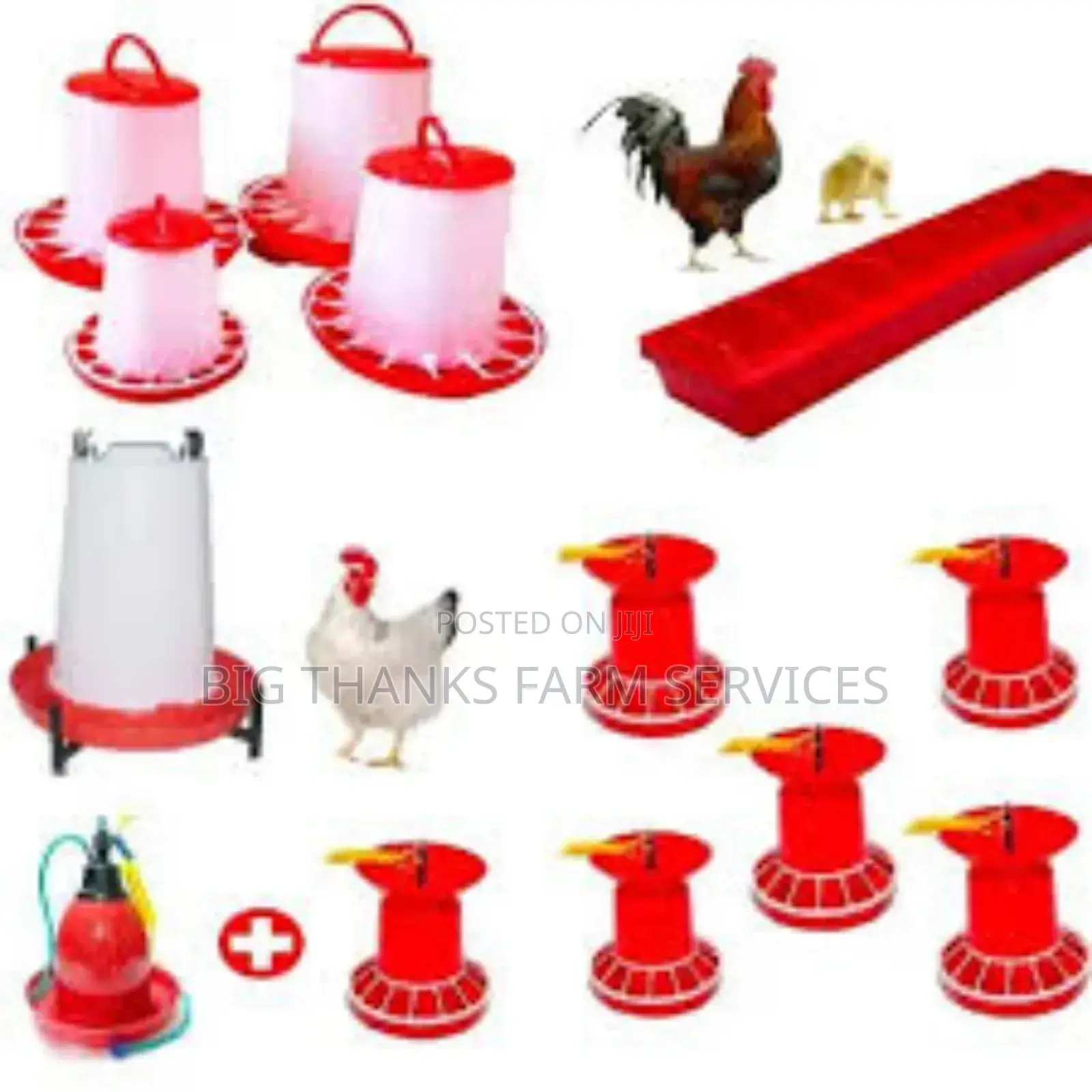 Poultry Feeders(Standard Types)