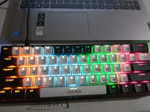 61 Keys Mechanical Mini Leven Keyboard