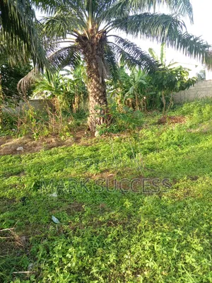 Plots for at Kasoa Old Timers Near New Market