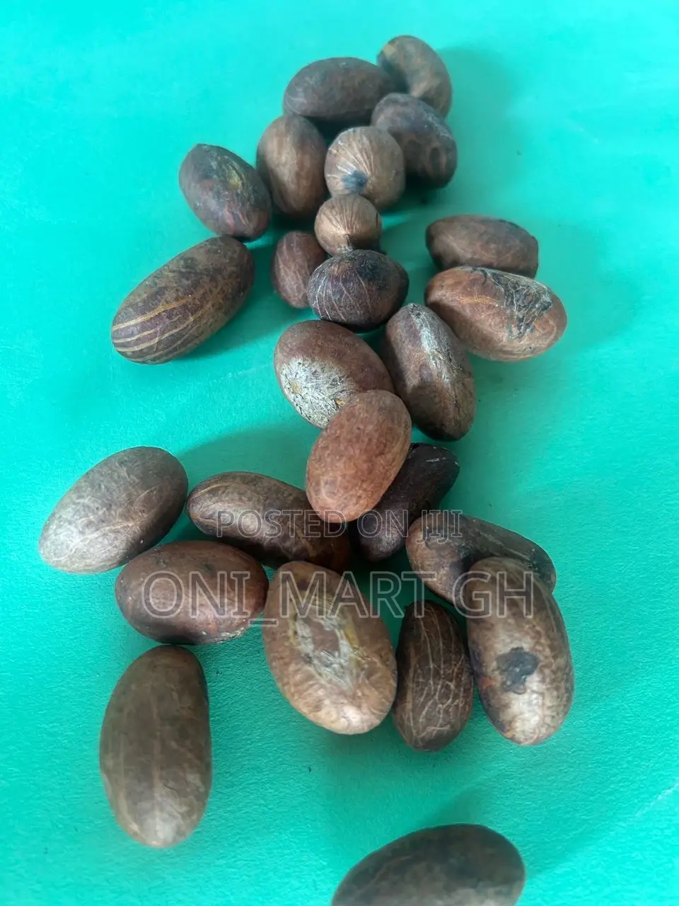 Bitter Kola