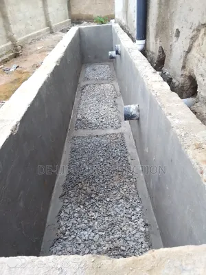 Are Looking for a Large Biodigester System?