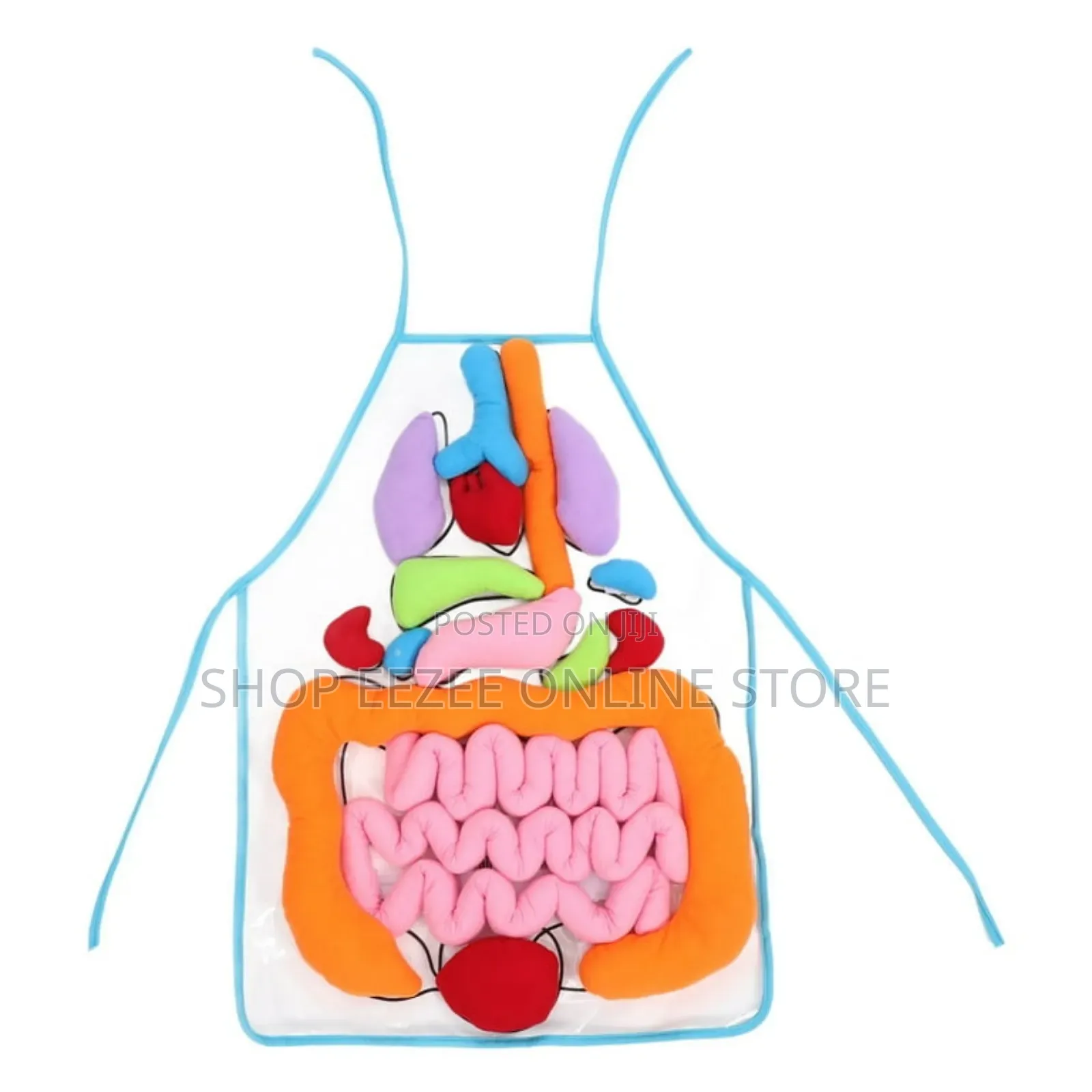 Educational Stem Anatomy Apron – Human Body Organ Learning Resources