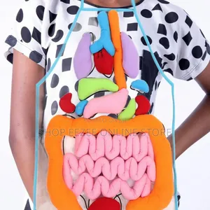 Educational Stem Anatomy Apron – Human Body Organ Learning Resources