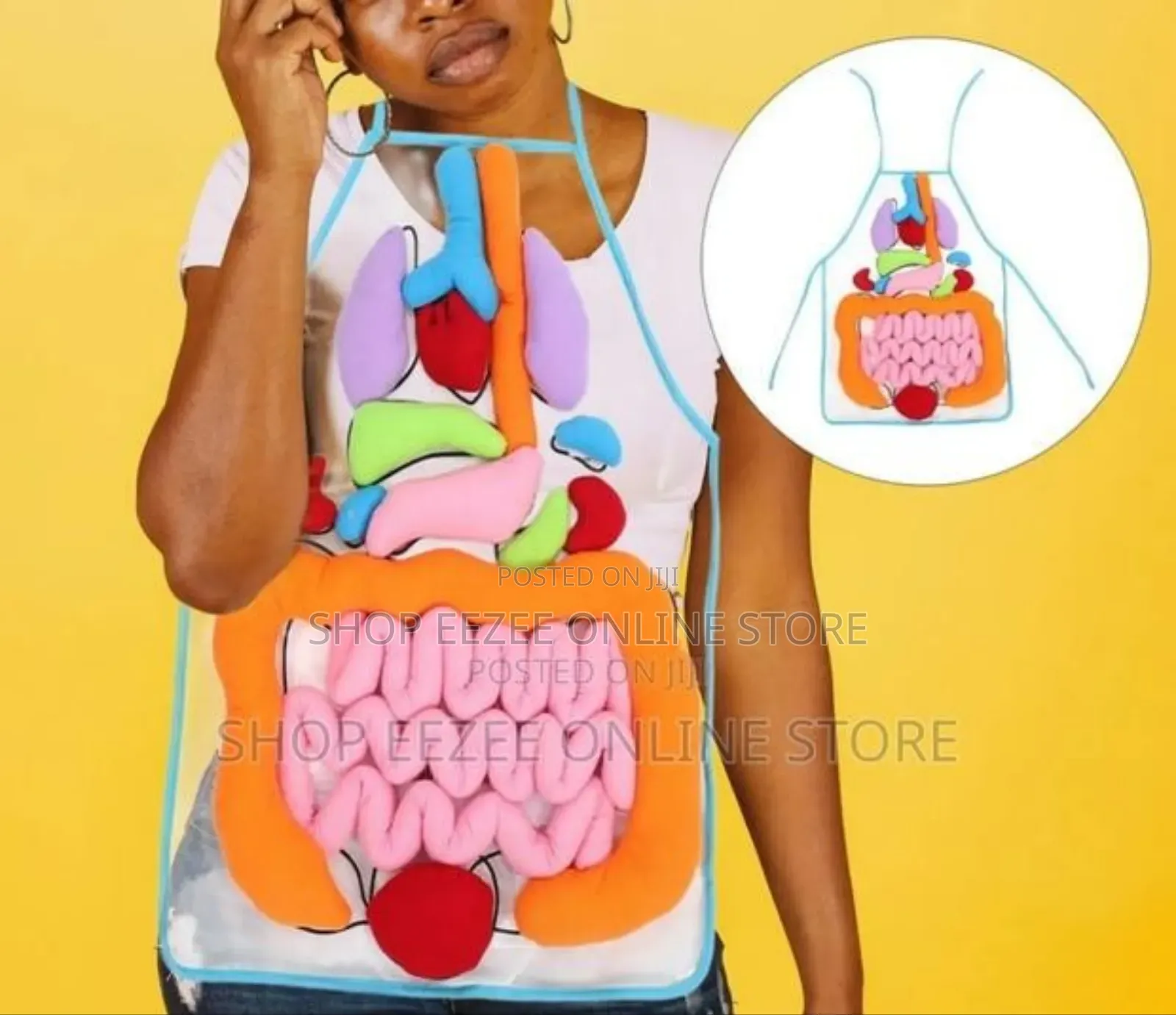 Educational Stem Anatomy Apron – Human Body Organ Learning Resources