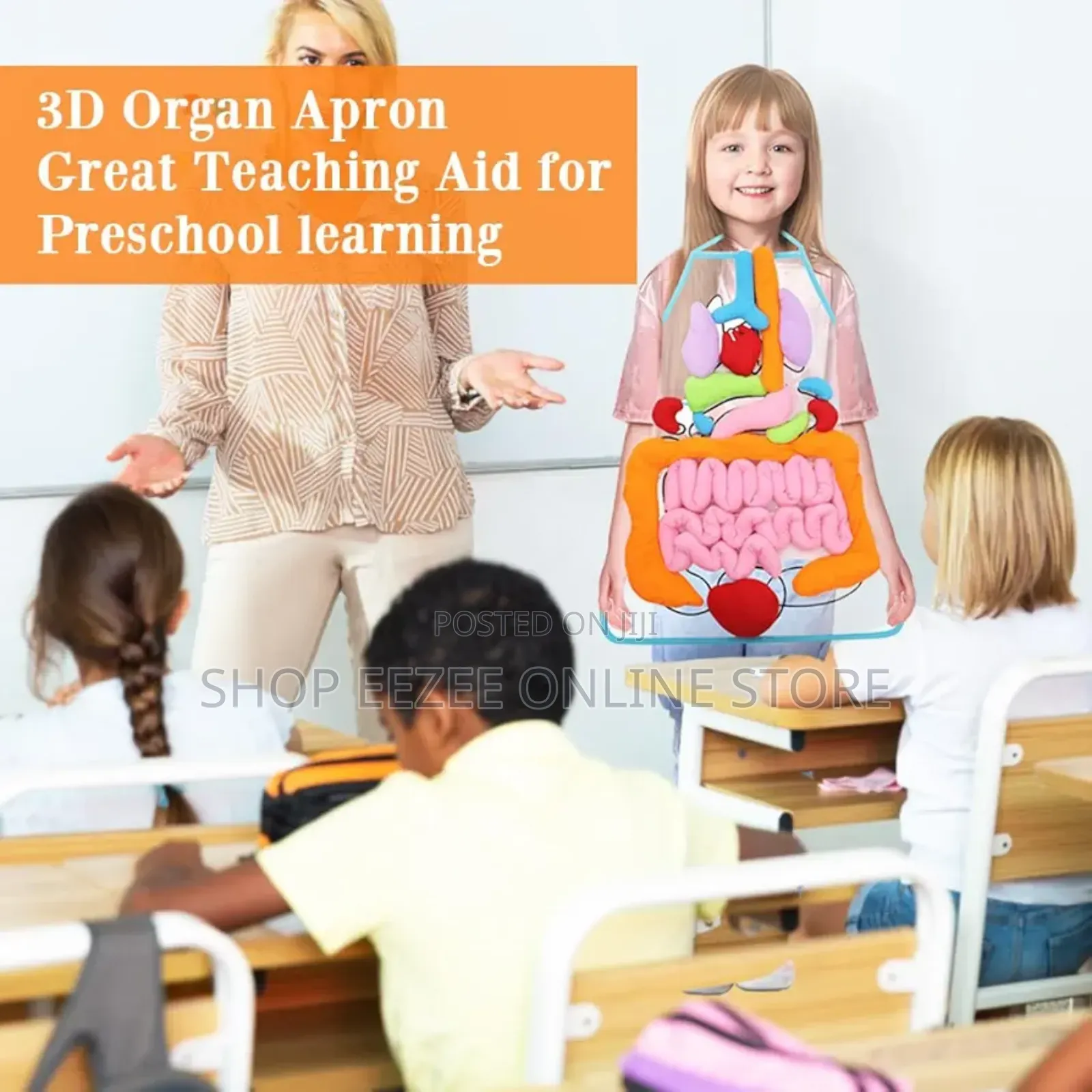 Educational Stem Anatomy Apron – Human Body Organ Learning Resources