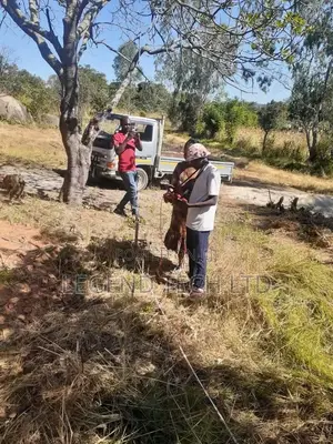 Borehole Site Survey Specialist