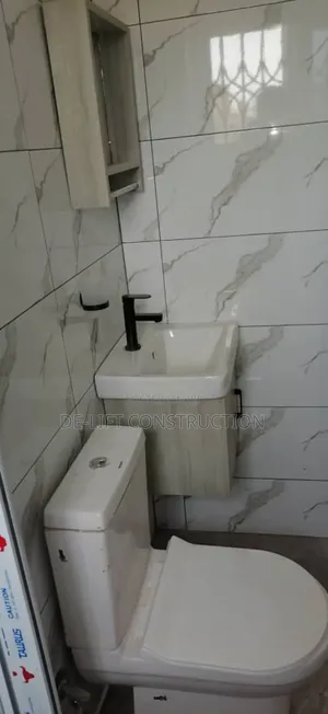 Are You Looking for a Professional Plumber?