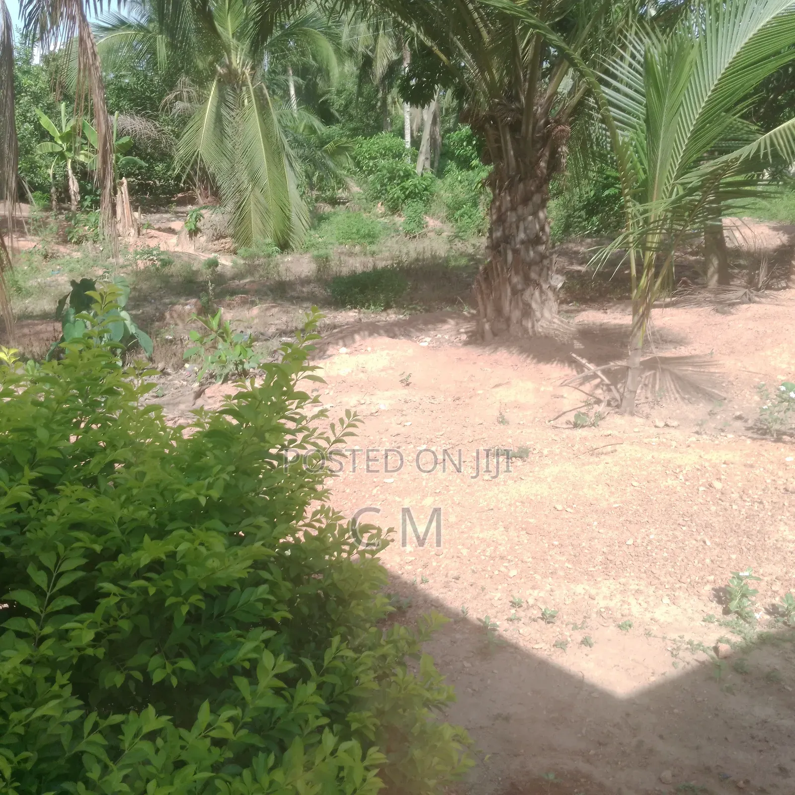 Flourish Gold Mining Concession