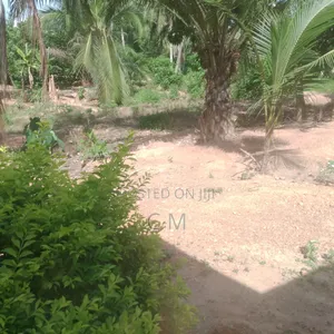 Flourish Gold Mining Concession