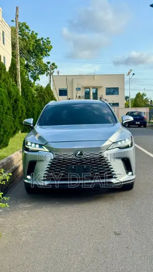 Photo - Lexus RX 350 2023 Silver