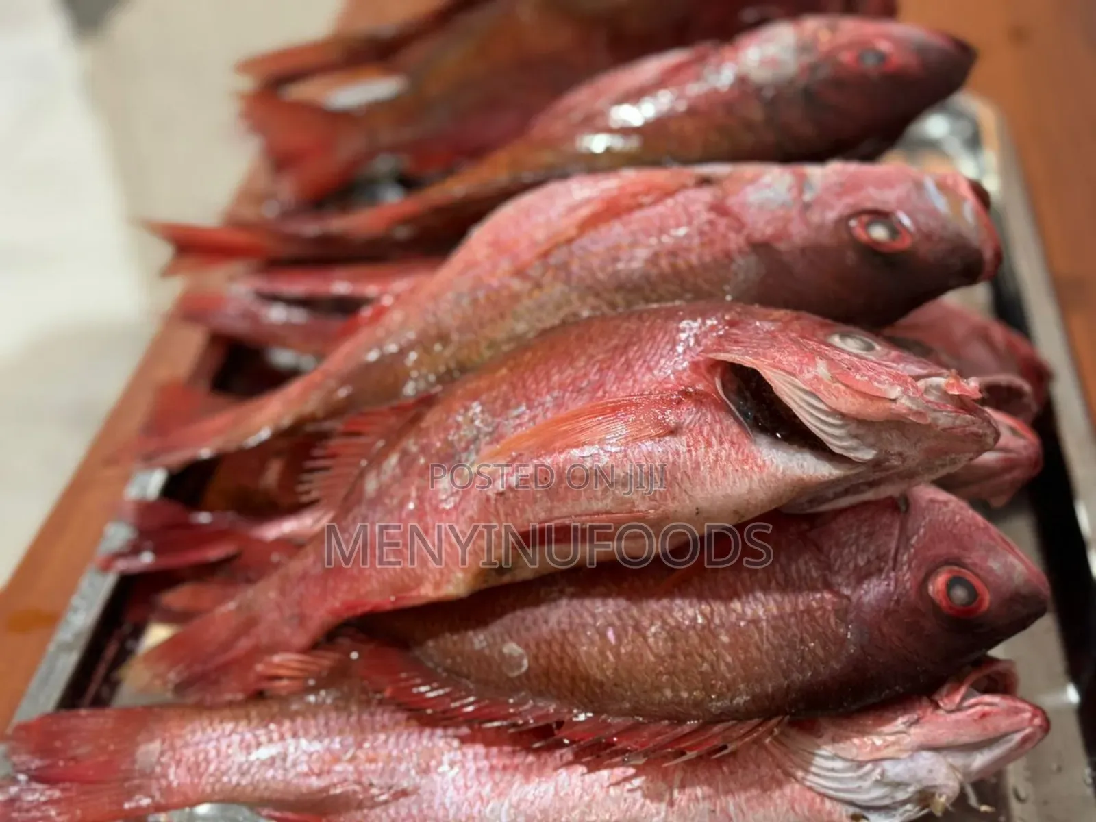 Fresh Red Snapper - Wholesale Retail In Accra