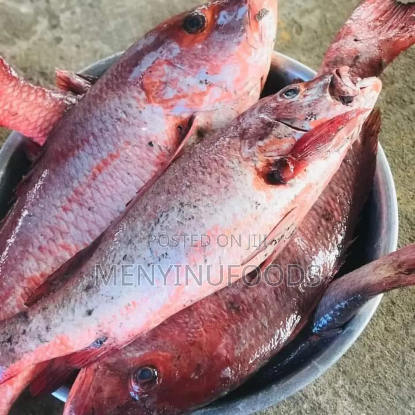 Fresh Red Snapper - Wholesale Retail In Accra