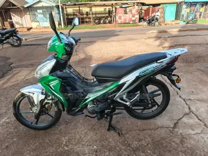 Apsonic AP110 2022 Green