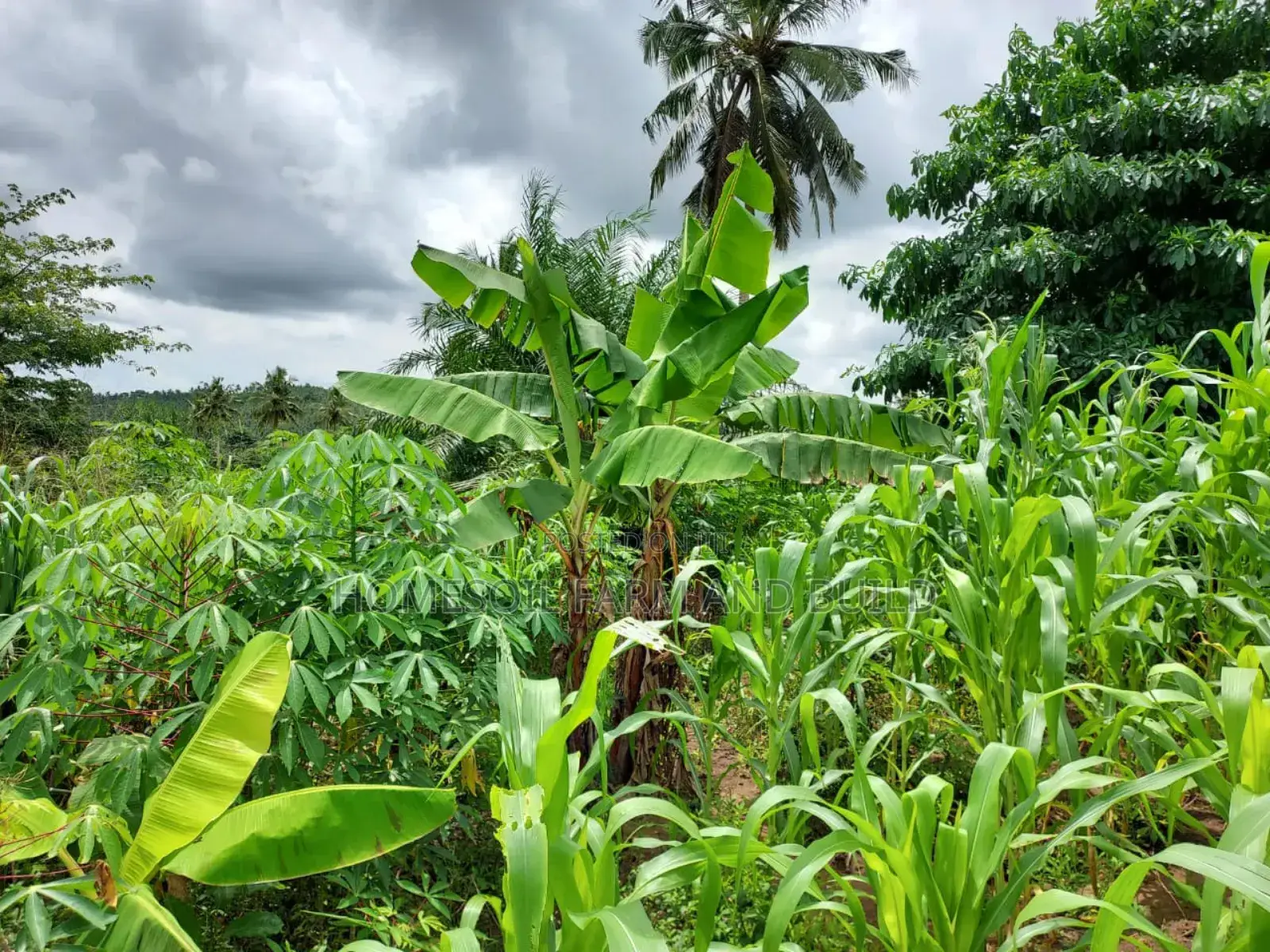 2 Plots of Litigation-Free, Strategically Located Land