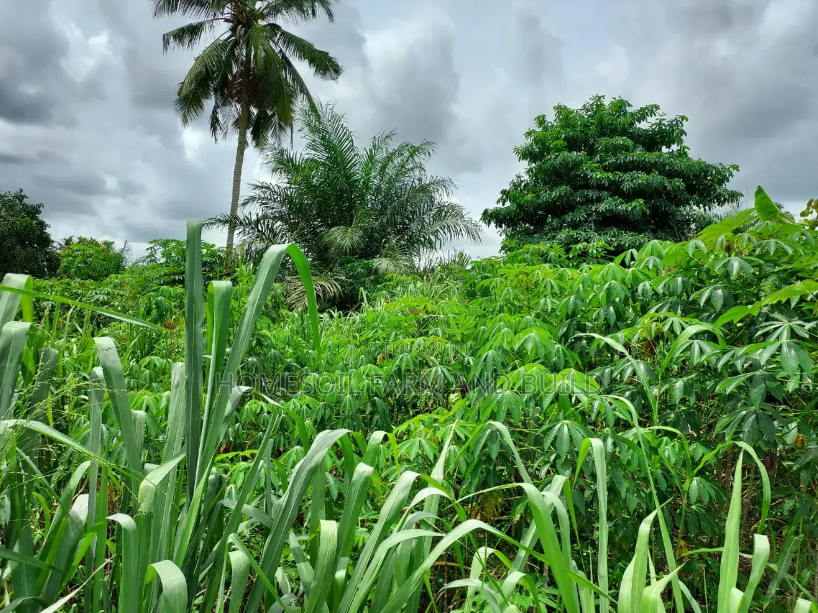 2 Plots of Litigation-Free, Strategically Located Land