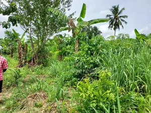 2 Plots of Litigation-Free, Strategically Located Land