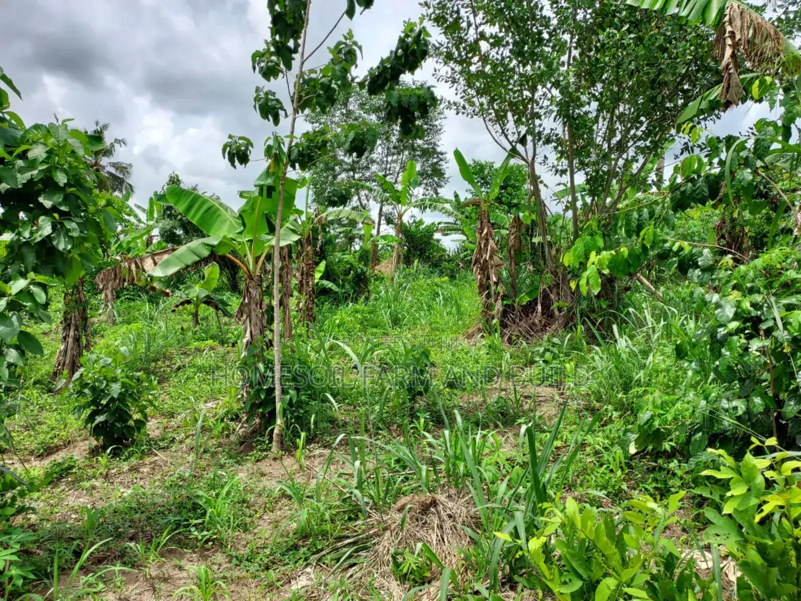 2 Plots of Litigation-Free, Strategically Located Land