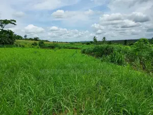 2 Plots of Litigation-Free, Strategically Located Land