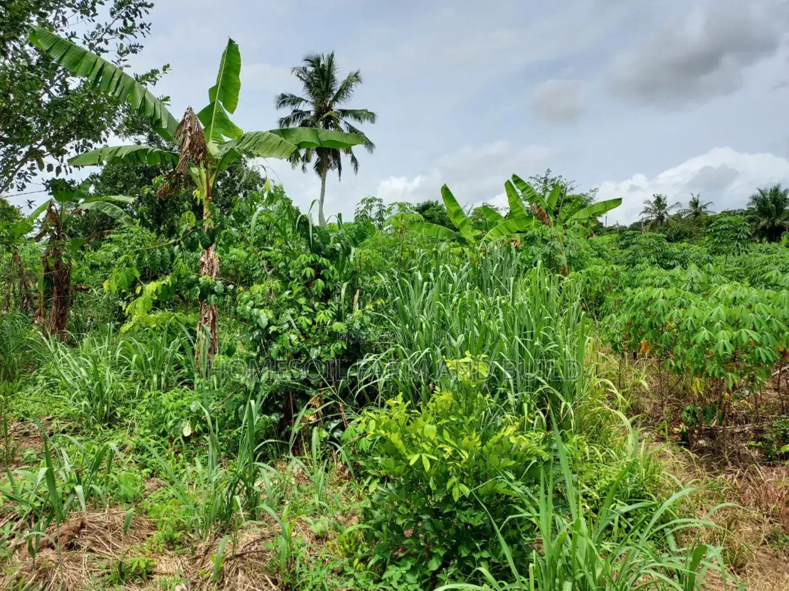 2 Plots of Litigation-Free, Strategically Located Land