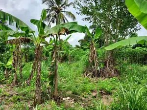 2 Plots of Litigation-Free, Strategically Located Land