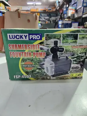 Fountain Pump