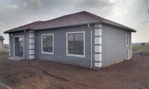 Painter With Quality Services