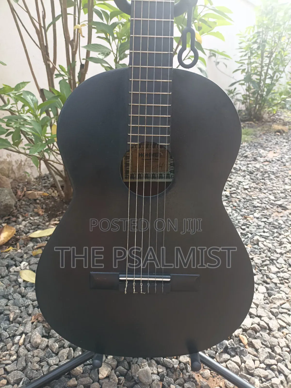 Classical Guitar Palma,Hohner, Monroy,Cantabelisson