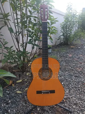 Classical Guitar Palma,Hohner, Monroy,Cantabelisson