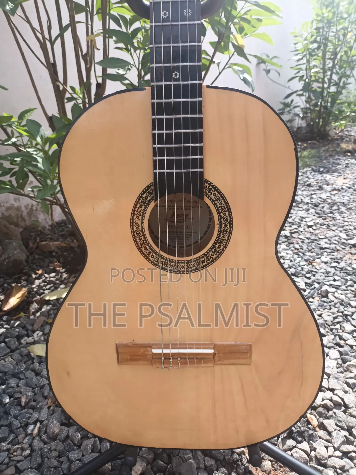 Classical Guitar Palma,Hohner, Monroy,Cantabelisson