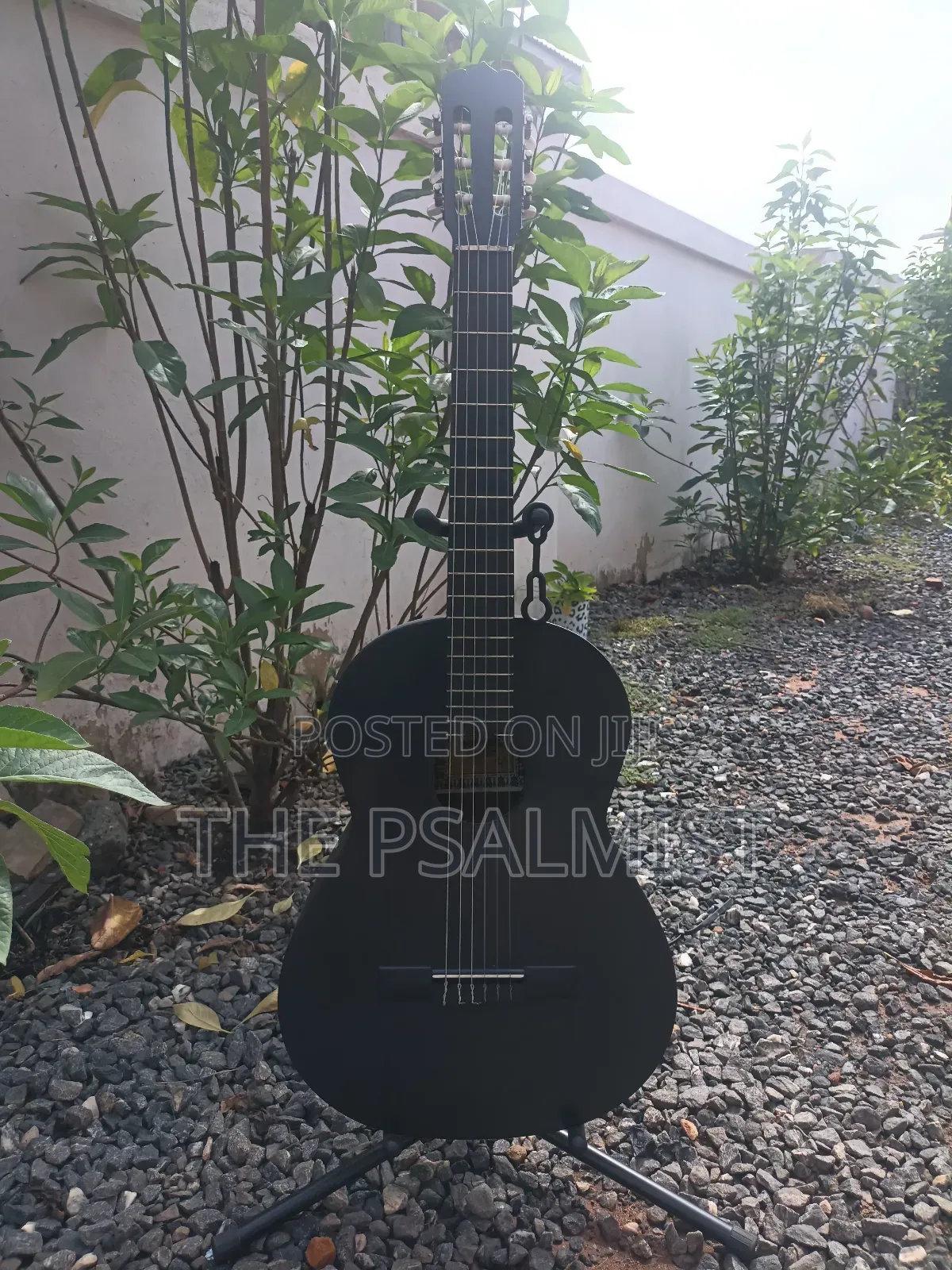 Classical Guitar Palma,Hohner, Monroy,Cantabelisson