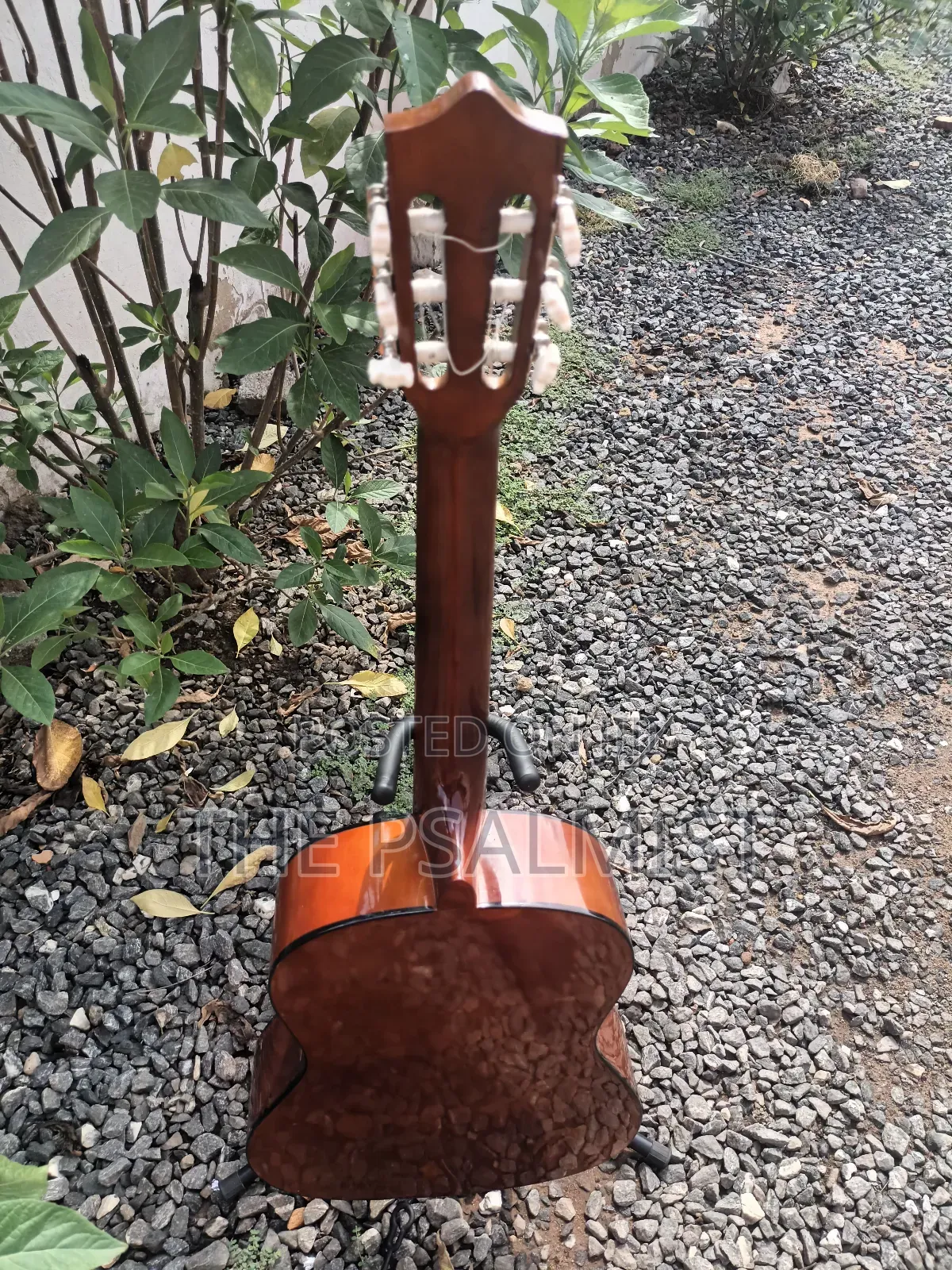 Classical Guitar Palma,Hohner, Monroy,Cantabelisson