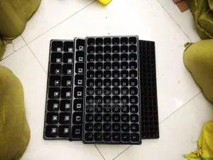 Seedlings Nursery Tray