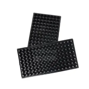 Seedlings Nursery Tray