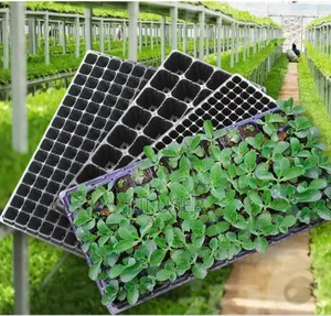 Seedlings Nursery Tray