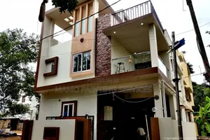 Experienced Painter