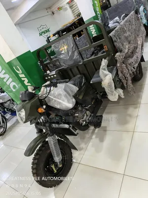 New Apsonic AP200ZH-VIP 2025 Green