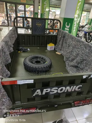 New Apsonic AP200ZH-VIP 2025 Green