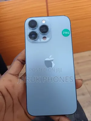 Apple iPhone 13 Pro 256 GB Gray