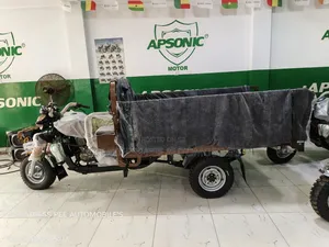 New Apsonic AP200ZH-A 2025 Brown