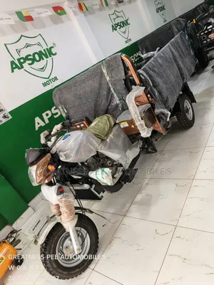 New Apsonic AP200ZH-A 2025 Brown