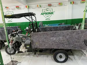 New Apsonic AP150ZH-Q7 2025 Green