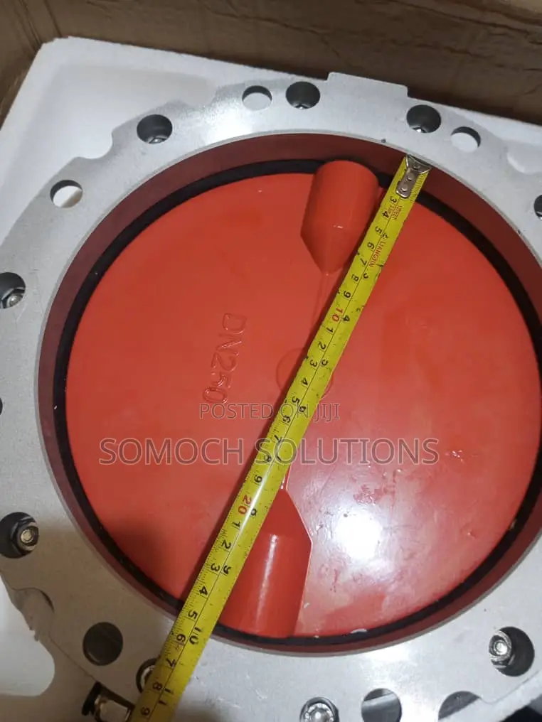 Butterfly Valve Dn250 Inner Diameter 250mm