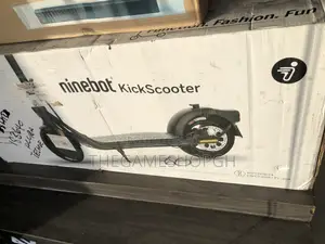 Segway Ninebot E45 Kickscooter