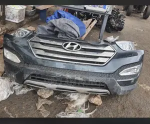 Hyundai Santa-fe 15 Cut