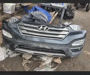 Hyundai Santa-fe 15 Cut