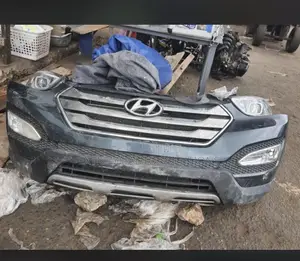 Hyundai Santa-fe 15 Cut